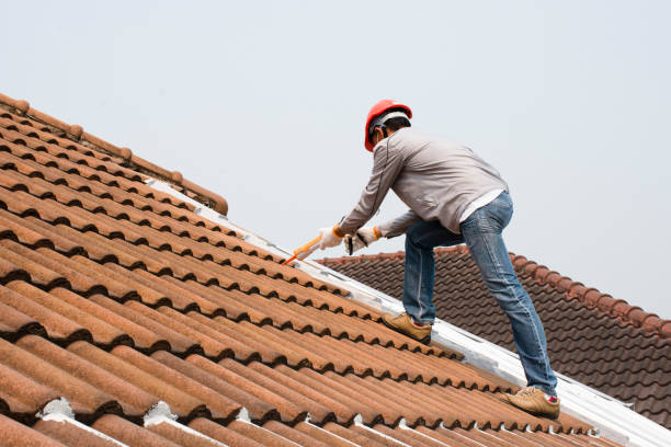 Best Chimney Flashing Repair  in Oak Grove, MO